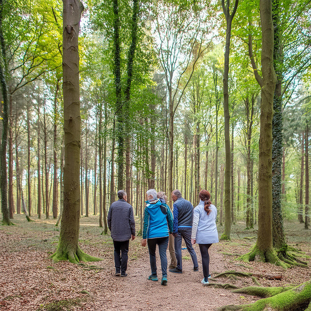 Coaching Het Wielseveld